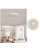 Lampadario con ventilatore da soffitto plafoniera led e telecomando luce bianca naturale calda