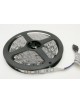 Strip led 12v 5050 striscia 5 metri strip 300 led 10mm RGB multicolore