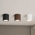 Plafoniera da soffitto per esterno a cilindro attacco GU10 lampada nero bianco marrone per balcone terrazzo ingresso