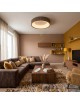 Plafoniera LED da soffitto moderna 30W con telecomando lampadario rotondo marrone lampada luce per soggiorno camera da Letto 