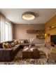 Plafoniera LED da soffitto moderna 30W con telecomando lampadario rotondo tortora lampada luce per soggiorno camera da Letto 