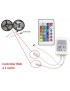 Controller centralina a 2 uscite con telecomando per strip striscia led RGB 12V