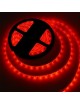 Striscia led 5050 IP65 300 led 5 metri adesiva per esterno impermeabile luce naturale rosso verde